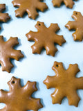 12 große Lebkuchen-Anhänger zum Dekorieren (11-12 cm)